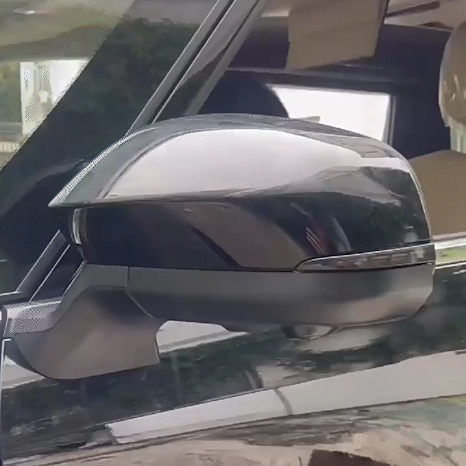 Tacoma/4Runner Side View Mirror Turn Signal Replacement Kit Sequential Dynamic Indicator Strip with Dragon-Scale Style 2.0