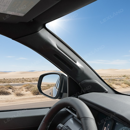 Tacoma Driver Side A-Pillar Grab Handle Assist Handle for Toyota